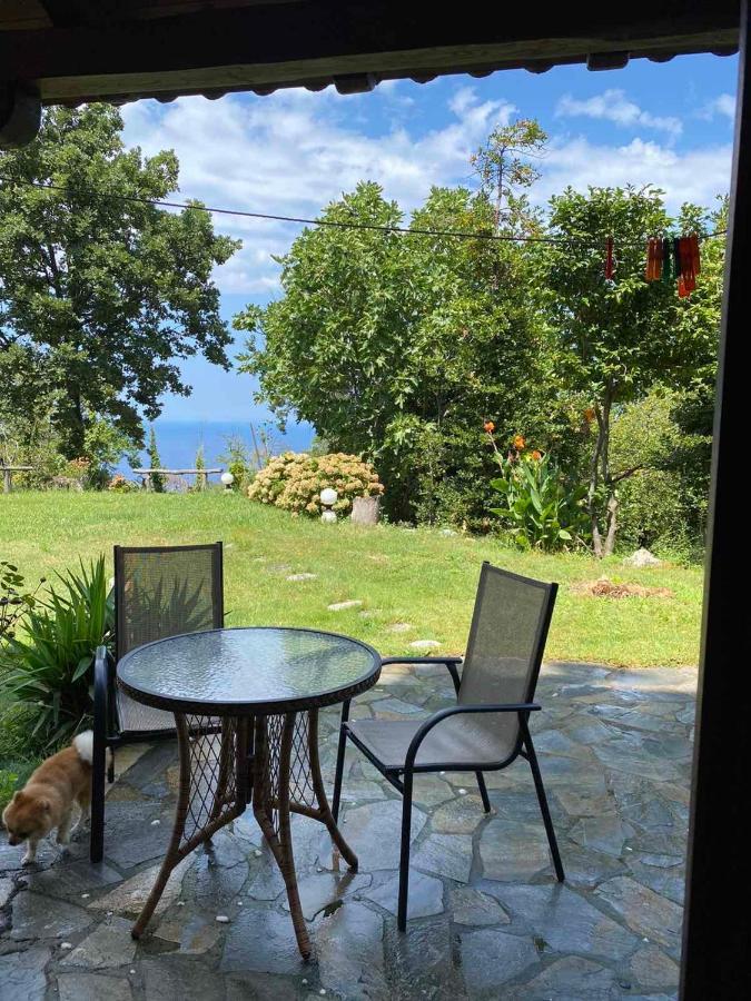 Kallisto Guesthouse ツァガラダ エクステリア 写真